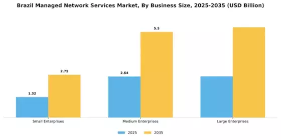 Brazil Managed Network Services Market Segment Image 0