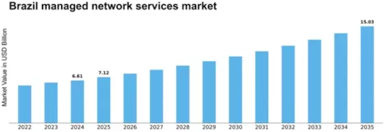 Brazil Managed Network Services Market Size