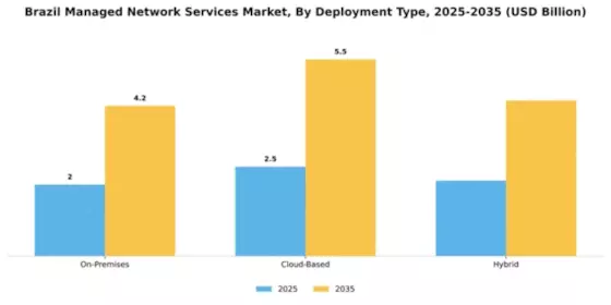 Brazil Managed Network Services Market Segment Image 1
