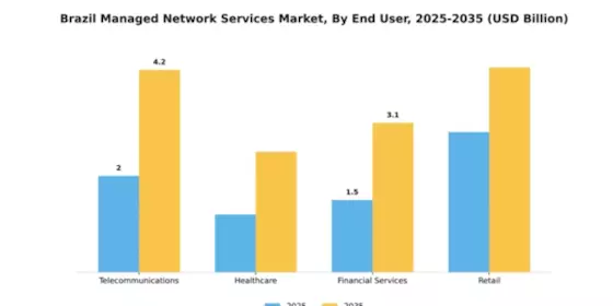 Brazil Managed Network Services Market Segment Image 2