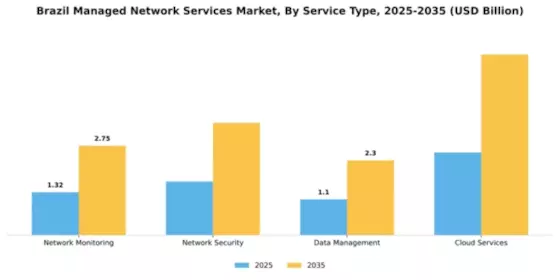 Brazil Managed Network Services Market Segment Image 3