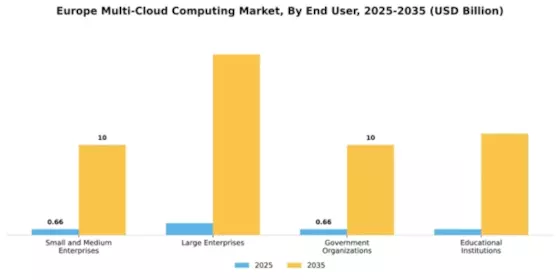 Europe Multi Cloud Computing Market Segment Image 2
