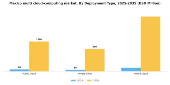 Mexico Multi Cloud Computing Market Segment Image 1