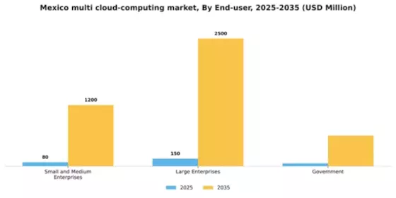Mexico Multi Cloud Computing Market Segment Image 2