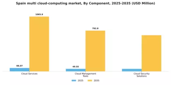 Spain Multi Cloud Computing Market Segment Image 0