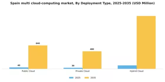 Spain Multi Cloud Computing Market Segment Image 1