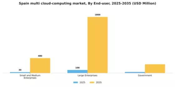 Spain Multi Cloud Computing Market Segment Image 2