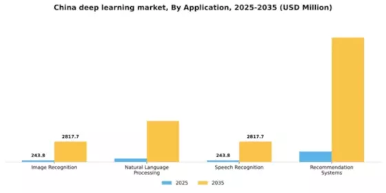 China Deep Learning Market Segment Image 0