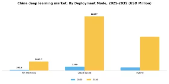 China Deep Learning Market Segment Image 1