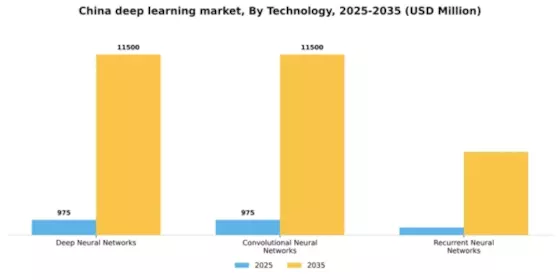 China Deep Learning Market Segment Image 3