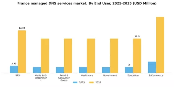France Managed Dns Services Market Segment Image 0
