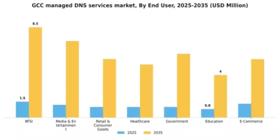 GCC Managed Dns Services Market Segment Image 0