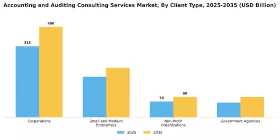 accounting-and-auditing-consulting-services-market Segment Image 0