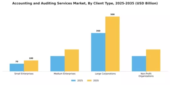 accounting-and-auditing-services-market Segment Image 0