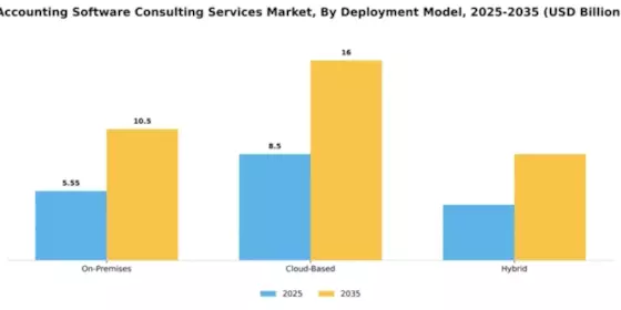 accounting-software-consulting-services-market Segment Image 1