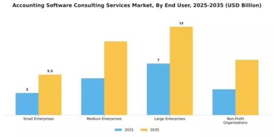 accounting-software-consulting-services-market Segment Image 2