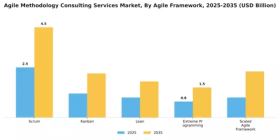 Agile Methodology Consulting Services Market Segment Image 0