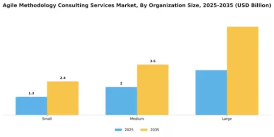 Agile Methodology Consulting Services Market Segment Image 3
