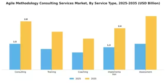 Agile Methodology Consulting Services Market Segment Image 4