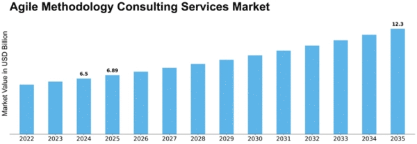 Agile Methodology Consulting Services Market Size