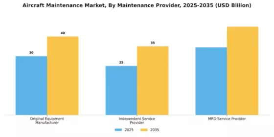 Aircraft Maintenance Market Segment Image 1