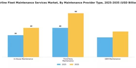Airline Fleet Maintenance Services Market Segment Image 2