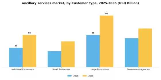 Ancillary Services Market Segment Image 0