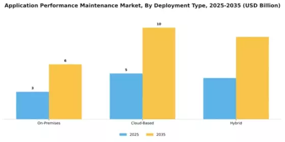 application-performance-maintenance-market Segment Image 1