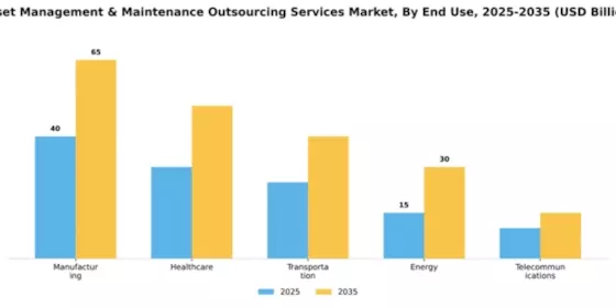 Asset Management & Maintenance Outsourcing Services Market Segment Image 1
