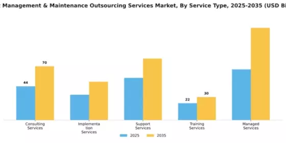Asset Management & Maintenance Outsourcing Services Market Segment Image 3