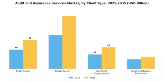 Audit and Assurance Services Market Segment Image 0