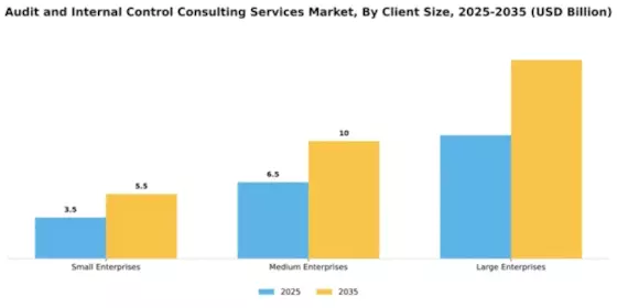 audit-and-internal-control-consulting-services-market Segment Image 1