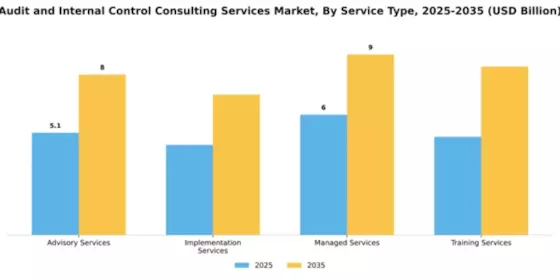 audit-and-internal-control-consulting-services-market Segment Image 4