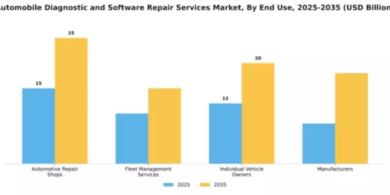 automobile-diagnostic-and-software-repair-services-market Segment Image 1