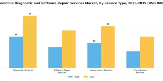 automobile-diagnostic-and-software-repair-services-market Segment Image 2