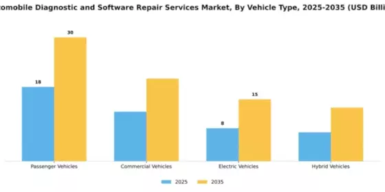 automobile-diagnostic-and-software-repair-services-market Segment Image 3