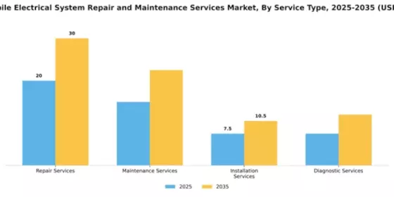 Automobile Electrical System Repair and Maintenance Services Market Segment Image 2