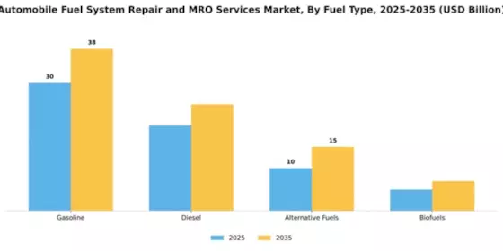 automobile-fuel-system-repair-and-mro-services-market Segment Image 2
