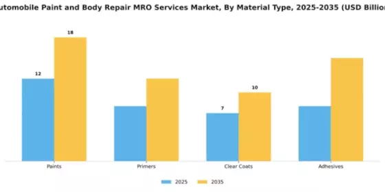 automobile-paint-and-body-repair-mro-services-market Segment Image 2