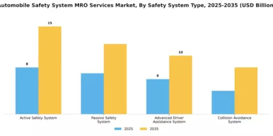 automobile-safety-system-mro-services-market Segment Image 2
