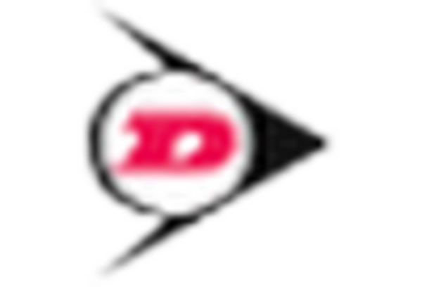 automobile-tire-repair-and-mro-services-market key player