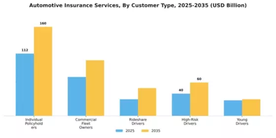 automotive-insurance-services Market Segment Image 1