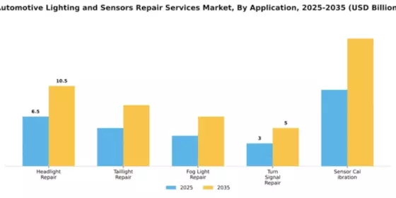Automotive Lighting and Sensors Repair Services Market Segment Image 0