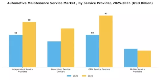 automotive-maintenance-service-market Segment Image 1