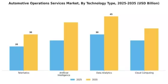automotive-operations-services-market Segment Image 2