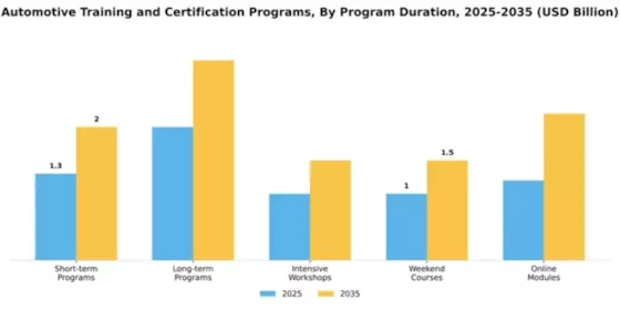 automotive-training-and-certification-programs Market Segment Image 1