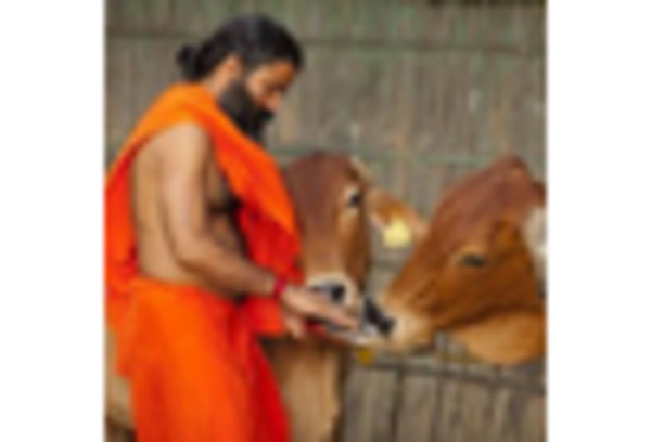  Ayurvedic Manufacturing Market key player