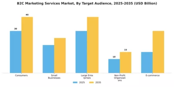 b2c-marketing-services-market Segment Image 3