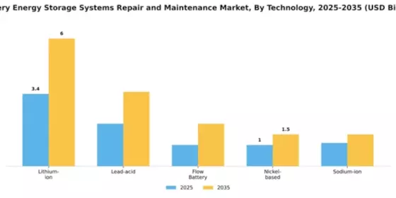 battery-energy-storage-systems-repair-and-maintenance-market Segment Image 4