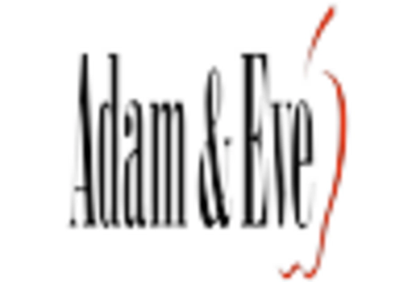 BDSM Sex Toys Market key player